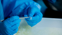 <b><b>选力雄厚、口碑杰出的代工工场</b></b>