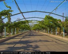 <b>加到2009年300元/亩</b>